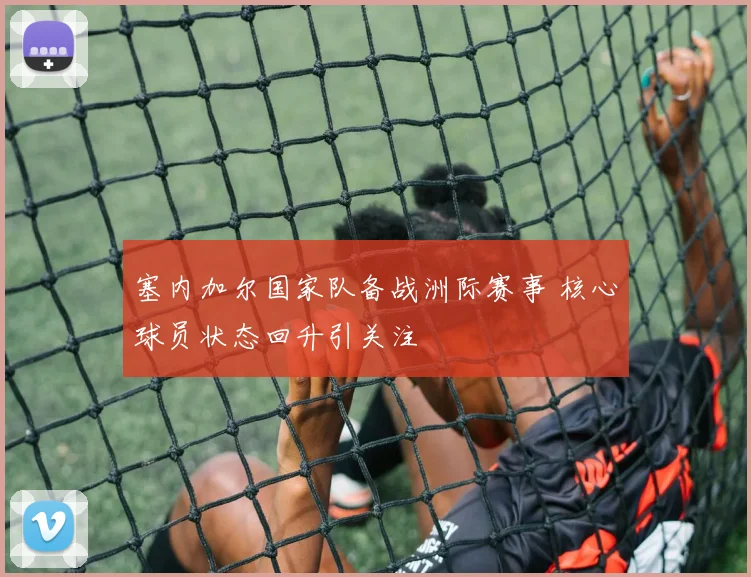 塞内加尔国家队备战洲际赛事 核心球员状态回升引关注