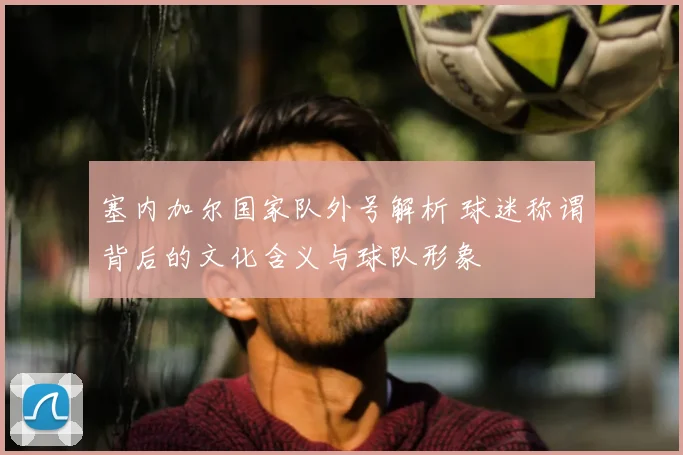 塞内加尔国家队外号解析 球迷称谓背后的文化含义与球队形象