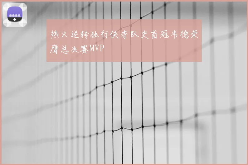 热火逆转独行侠夺队史首冠韦德荣膺总决赛MVP