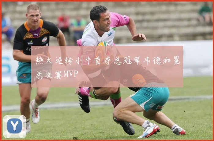 热火逆转小牛首夺总冠军韦德加冕总决赛MVP