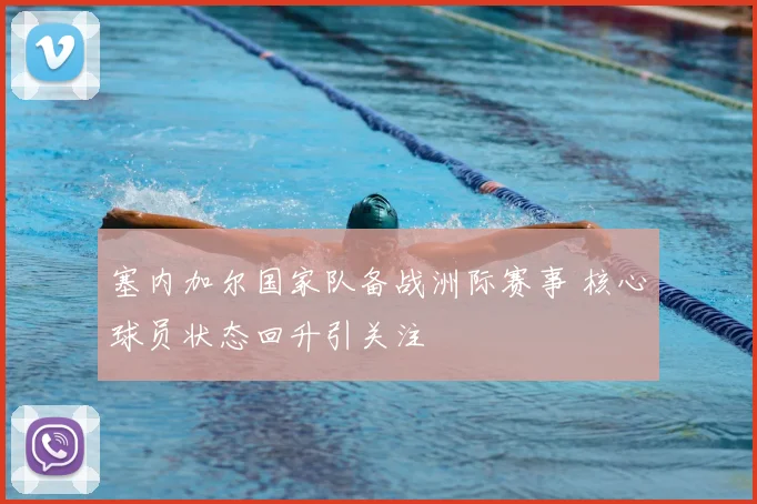 塞内加尔国家队备战洲际赛事 核心球员状态回升引关注