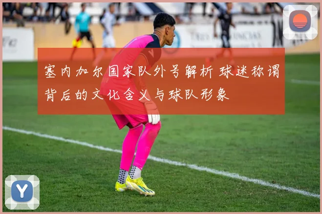 塞内加尔国家队外号解析 球迷称谓背后的文化含义与球队形象