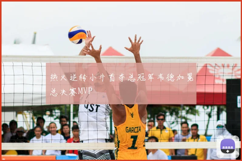 热火逆转小牛首夺总冠军韦德加冕总决赛MVP